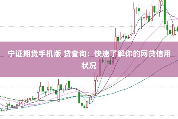 宁证期货手机版 贷查询：快速了解你的网贷信用状况