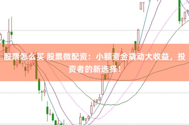 股票怎么买 股票微配资：小额资金撬动大收益，投资者的新选择！