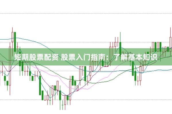 短期股票配资 股票入门指南：了解基本知识