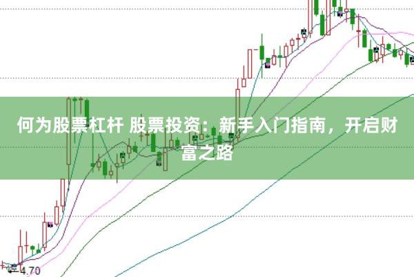 何为股票杠杆 股票投资：新手入门指南，开启财富之路