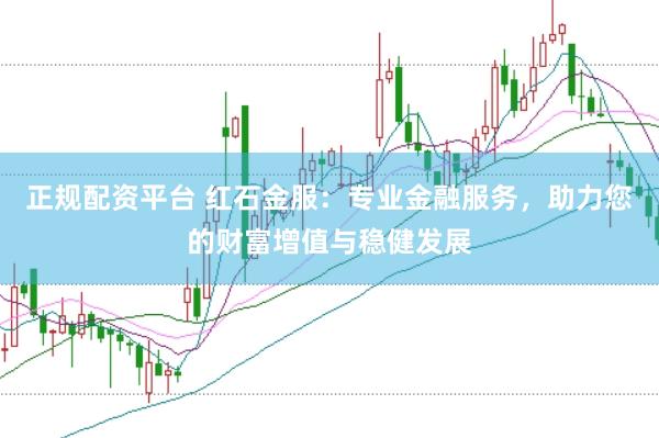 正规配资平台 红石金服：专业金融服务，助力您的财富增值与稳健发展