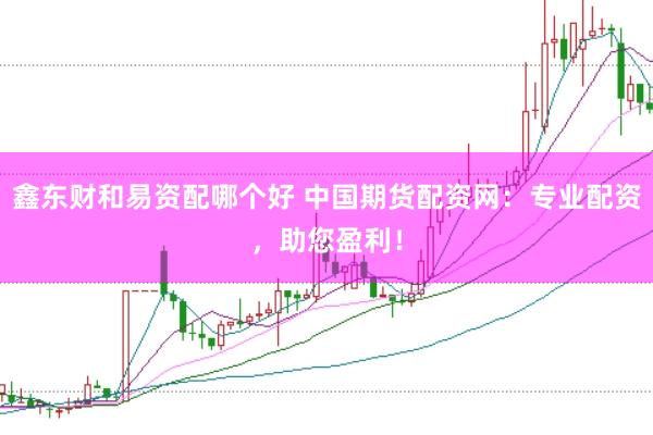 鑫东财和易资配哪个好 中国期货配资网：专业配资，助您盈利！