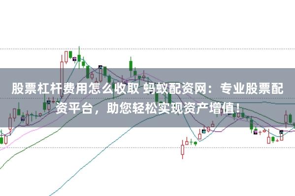 股票杠杆费用怎么收取 蚂蚁配资网：专业股票配资平台，助您轻松实现资产增值！