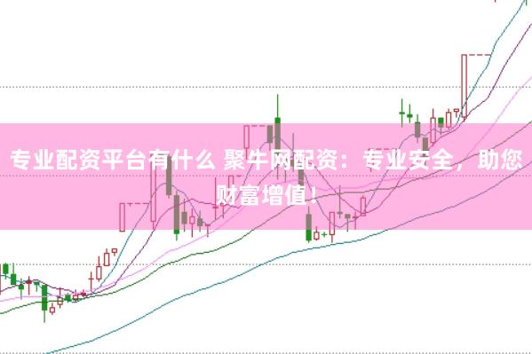 专业配资平台有什么 聚牛网配资：专业安全，助您财富增值！