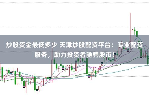 炒股资金最低多少 天津炒股配资平台：专业配资服务，助力投资者驰骋股市！