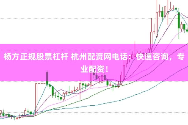 杨方正规股票杠杆 杭州配资网电话：快速咨询，专业配资！
