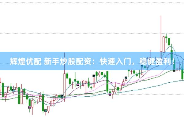 辉煌优配 新手炒股配资：快速入门，稳健盈利！