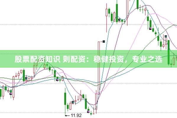 股票配资知识 则配资：稳健投资，专业之选