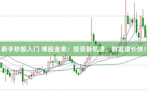 新手炒股入门 博股金来:投资新机遇,财富增长快!