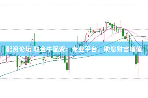配资论坛 融金牛配资:专业平台,助您财富增值