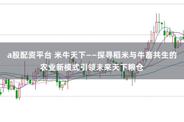 a股配资平台 米牛天下——探寻稻米与牛畜共生的农业新模式引领未来天下粮仓