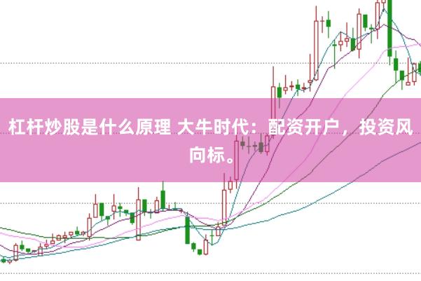杠杆炒股是什么原理 大牛时代:配资开户,投资风向标。